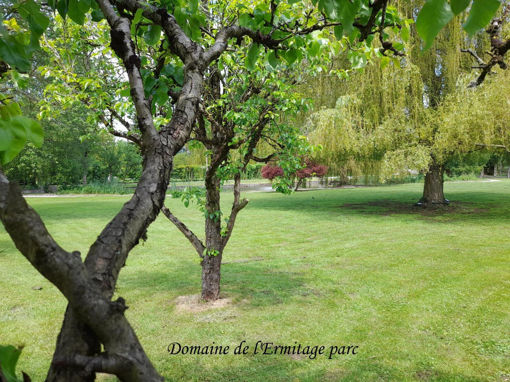 Domaine De L'Ermitage Villa Rue  Kültér fotó